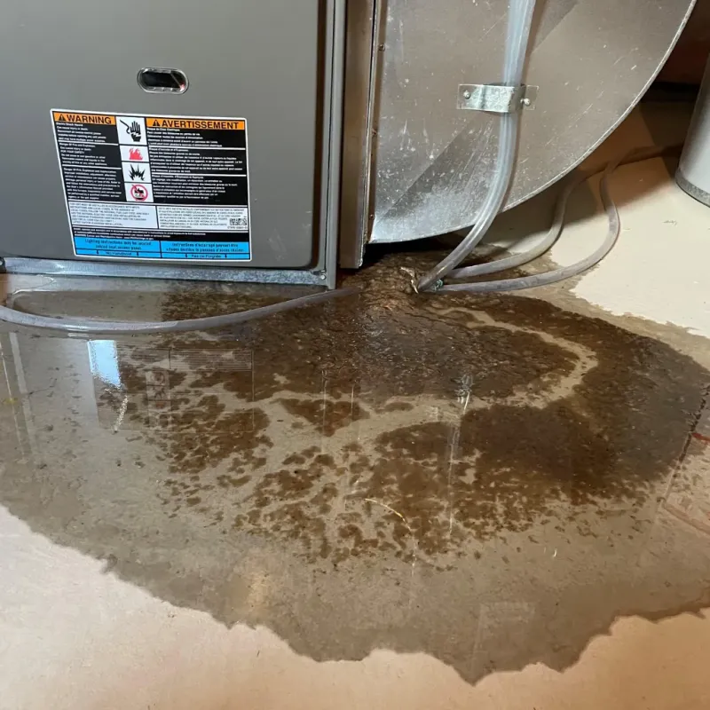 Appliance Leak Cleanup in Lagrange, IN